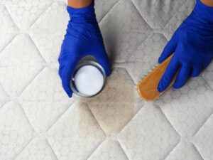 La fin des Punaises de Lit grâce à la terre de Sommières ?
