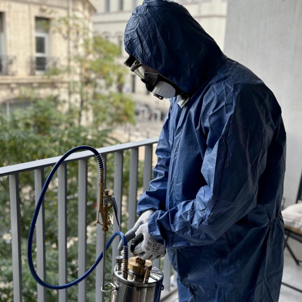 Urgence punaises de lit à Marseille — Intervention 24h/24