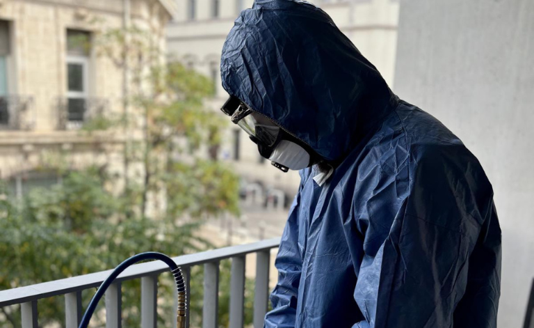 Service Anti-Nuisibles à Toulon : guide complet 2026